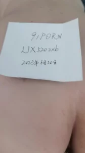 [原创] 小小玩一下菊花